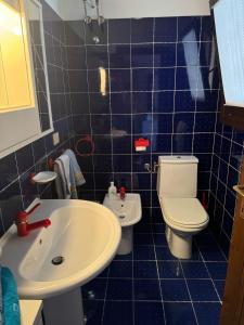 アルツァケーナにあるL'appartamento sul mareの青いタイル張りのバスルーム(トイレ、シンク付) +20枚の写真