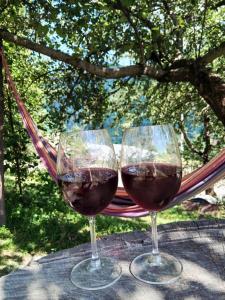 two glasses of red wine sitting on a hammock at Guest House Lemsia in Mestia