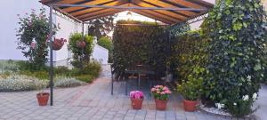 Ogród w obiekcie Apartment in Zadar - Zadar Riviera 7970