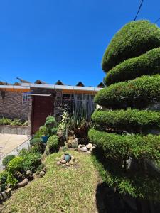 Κήπος έξω από το New House in Ciudad Merliot