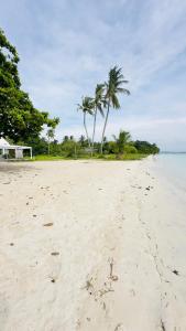 a beach with two palm trees and the ocean at Bantayan Beachfront Seacamp Okoy Private House Operated by In Dai Aquasports and Beach Resort in Bantayan Island +18 photos
