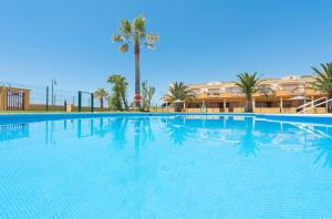 a large swimming pool with palm trees and a building at Apartamento Tortuga I in Tarifa