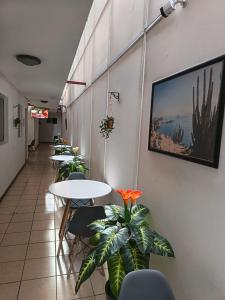Una fila de mesas y sillas en una habitación con plantas. en Lodge Atacama Hostal, en Copiapó