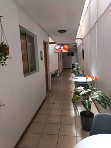 Un pasillo vacío con mesas y plantas en una habitación. en Lodge Atacama Hostal, en Copiapó 24 fotos más