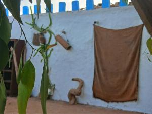 Fotografie z fotogalerie ubytování l'expérience Berbère v destinaci Agadir