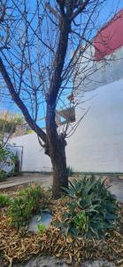 Afbeelding uit fotogalerij van Delfines in Las Grutas