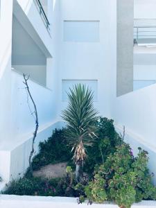 Ảnh trong thư viện ảnh của Appartement Pied dans l'eau Dar Karima ở Mezraya