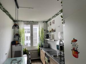 Η κουζίνα ή μικρή κουζίνα στο 5 Bedroom Apartment in Kassel City Center Perfect for groups and families