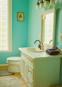 a bathroom with a sink and a toilet at The Magnolia Mansion 6 Minutes to Broadway on 4 Acres in Nashville