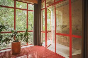 a room with a potted plant in front of a window at Xolo Condesa in Mexico City +7 photos