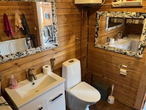 a bathroom with a sink and a toilet and a mirror at Luxury Holiday Home with Private Lake in Vehmaa +90 photos