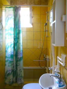 a bathroom with a shower curtain and a sink at Apartments Bisa in Soko Banja