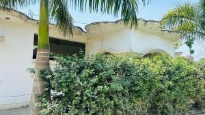 a house with a palm tree in front of it at Rohit PRATAP SINGH in Lucknow