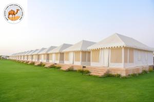 斋沙默尔Best Desert camp sam sand dunes Jaisalmer的草场上的一排帐篷