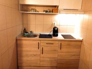 Foto de la galería de Apartman Vrh 88 en Vrnjačka Banja 12 fotos más