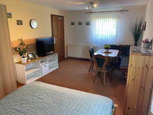 TV a/nebo společenská místnost v ubytování Ferienwohnung An den Galgenteichen
