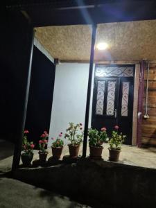 Gambar di galeri bagi Forest di Khulo