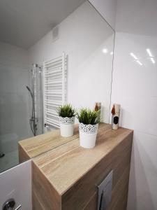 three potted plants sitting on a wooden counter in a bathroom at SEA & SMILE APARTMENT - BASEN, SAUNA, PARKING, WIFI, SPA Kołobrzeg Podczele in Kołobrzeg +22 photos
