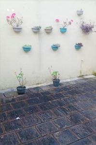 Fotografija u galeriji objekta Tea Bush Hotel u gradu Nuvara Elija