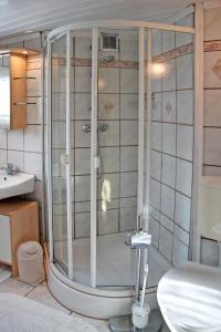 a shower in a bathroom with a toilet and a sink at Unterkünfte in Zarrendorf in Zarrendorf +64 photos