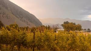 a field with trees and a fence in front of a mountain at Bold Reserve Herrera Vineyard Estate Home in Keremeos