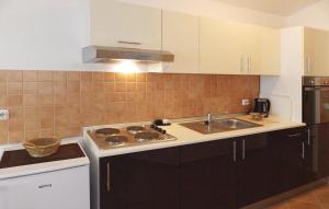 Kuchyň nebo kuchyňský kout v ubytování Apartments Vesna