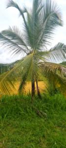 Fotografie z fotogalerie ubytování Ranketha Hideout Resorts v destinaci Kurunegala
