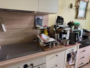 a kitchen with a counter top with pots and pans at COZY APARTMENT ERNESTA 90m in the city centre - three rooms with balcony in Rīga +25 photos