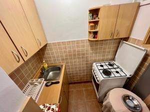 a small kitchen with a stove and a sink at Balcsitthon Ezüstpart in Siófok