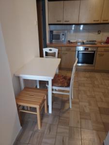 Η κουζίνα ή μικρή κουζίνα στο Apartment for recreation in the district of Děčín