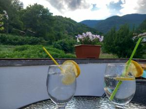 two glasses of water and lemon slices on a table at Къща за гости НА СЕЛО in Devin