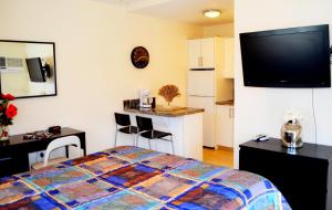 Kuchyň nebo kuchyňský kout v ubytování Ocean Drive Villas