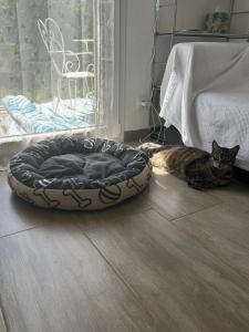 a cat laying on the floor next to a dog bed at Ganzes Haus in Basel Leymen Tiere willkommen in Leymen