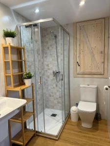 a bathroom with a shower with a toilet and a sink at La casa de cuatro caminos in Arenas de Cabrales