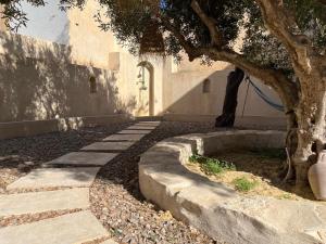 a tree in front of a building with a sidewalk at Dar Younes in Houmt Souk