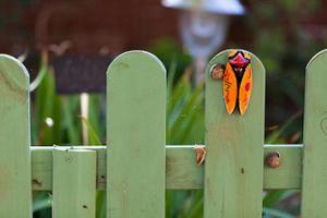 a butterfly on the top of a green fence at B&B Le Clos des Cigales in Cassis