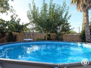 a large swimming pool in a yard with trees at La gineroise in Le Grau-dʼAgde
