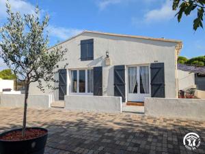 a tree in a pot in front of a house at La gineroise in Le Grau-dʼAgde