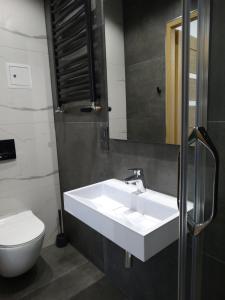 ein Badezimmer mit einem weißen Waschbecken und einer Toilette in der Unterkunft ZIELONA GOSPODA Choice in Preseka