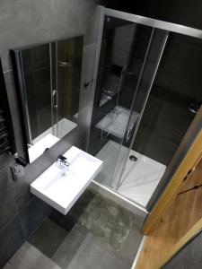 ein Badezimmer mit Waschbecken und Dusche in der Unterkunft ZIELONA GOSPODA Choice in Preseka