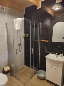 a bathroom with a shower and a toilet and a sink at Domki Lena Kopalino in Kopalino +117 photos