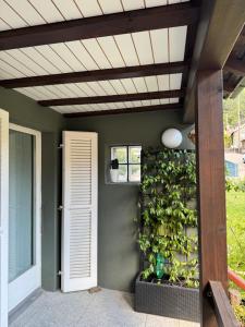 Zahrada ubytování Il Cottage