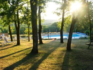 a group of trees in a park with a swimming pool at La Chêneraie Chambres d'hôtes-B&B in Payrac