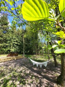 Wolny Las Glamping na Mazurach外面的花园