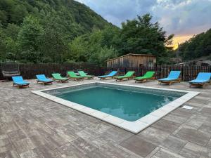 a swimming pool with chaise lounge chairs and a group at Vila Mișu in Dobra