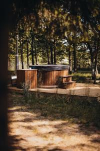 ŁawkiWolny Las Glamping na Mazurach的公园里有两个长椅,树丛丛丛生