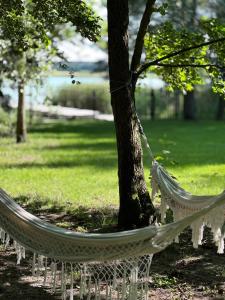 Wolny Las Glamping na Mazurach外面的花园