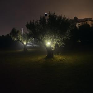 Fotografie z fotogalerie ubytování Peristeras Country Home v destinaci Ierápetra