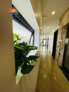 a hallway with a plant on a wall at Sunrise Hotel Thiên Cầm in Ha Tinh +26 photos