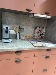 a kitchen counter with pink cabinets and a blender at Le Gîte Eiffel Les Gîtes de l'Atelier in Gaudonville